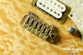 Pacifica USA-2 Custom